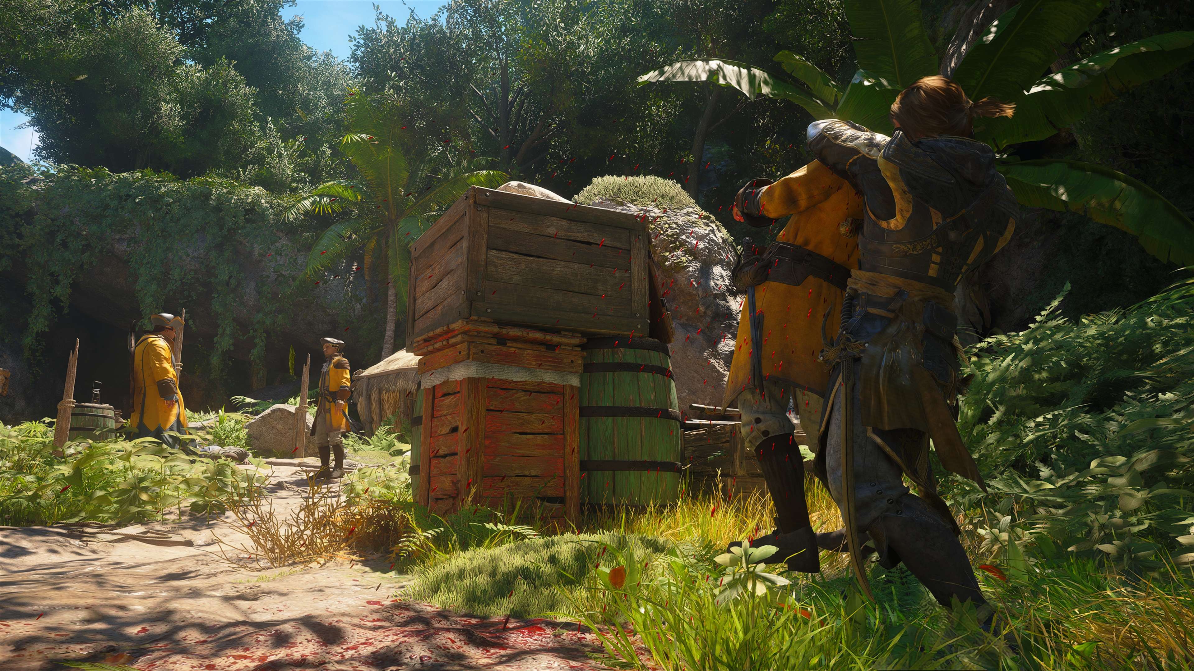 Assassin´s Creed Black Flag Resynced - Imagen 31