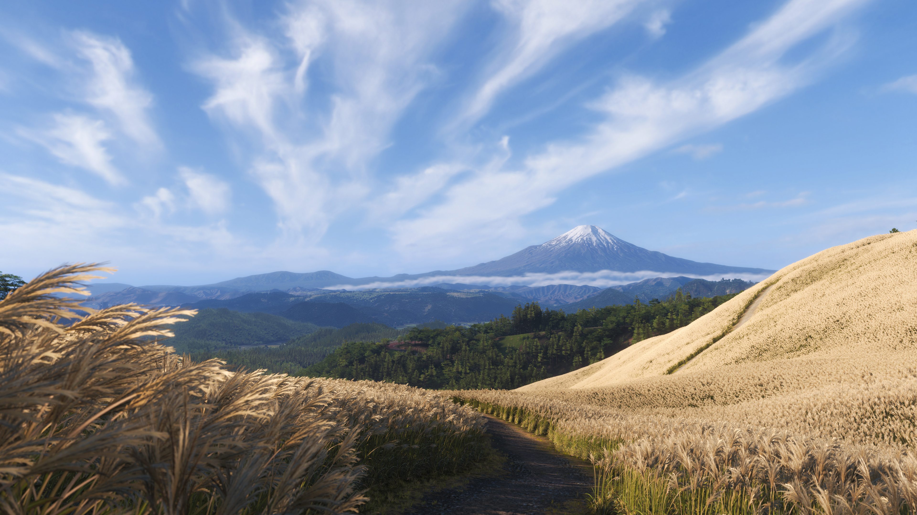 Forza Horizon 6 - Imagen 20