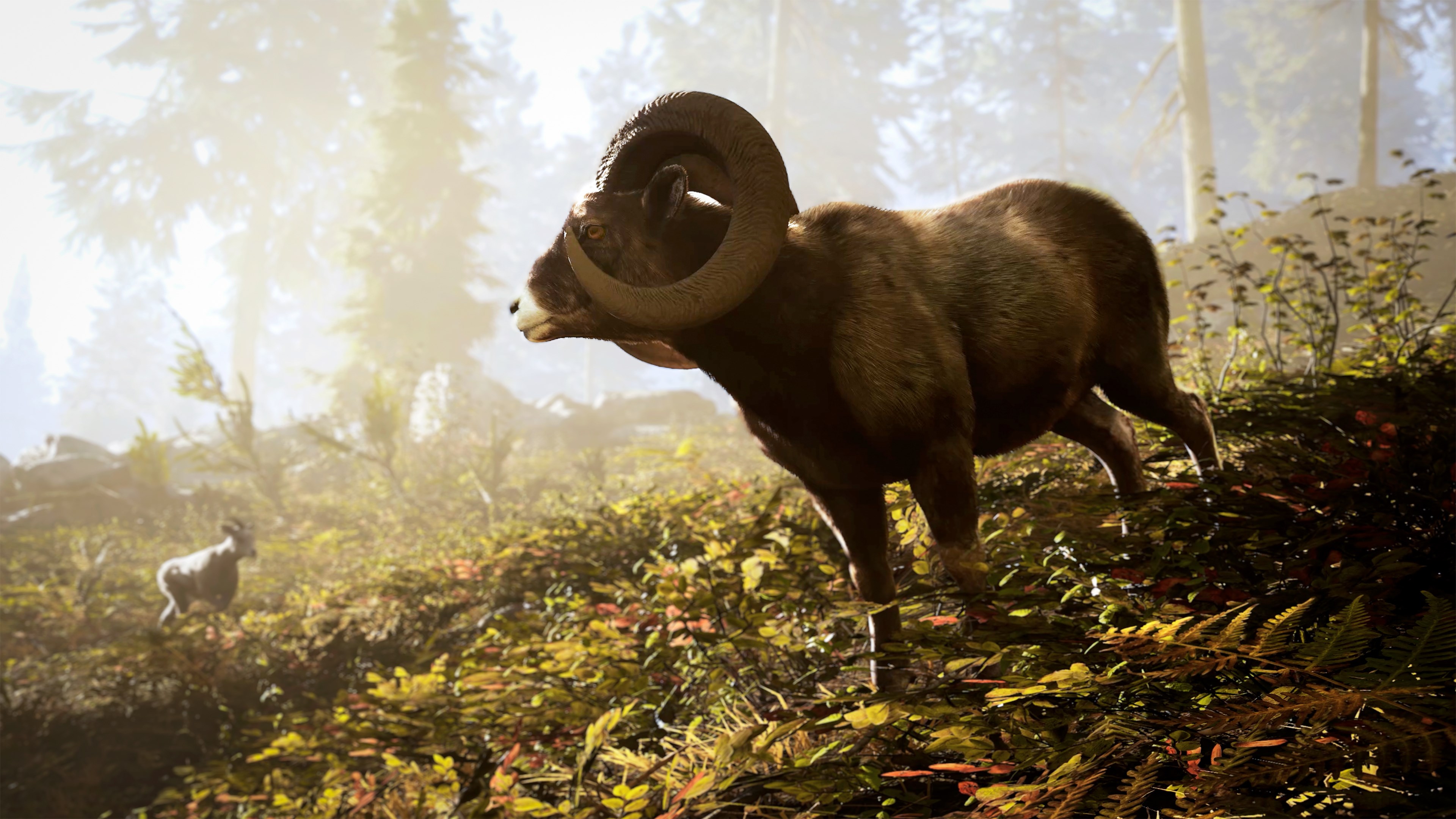 Hunting Simulator 3 - Imagen 10