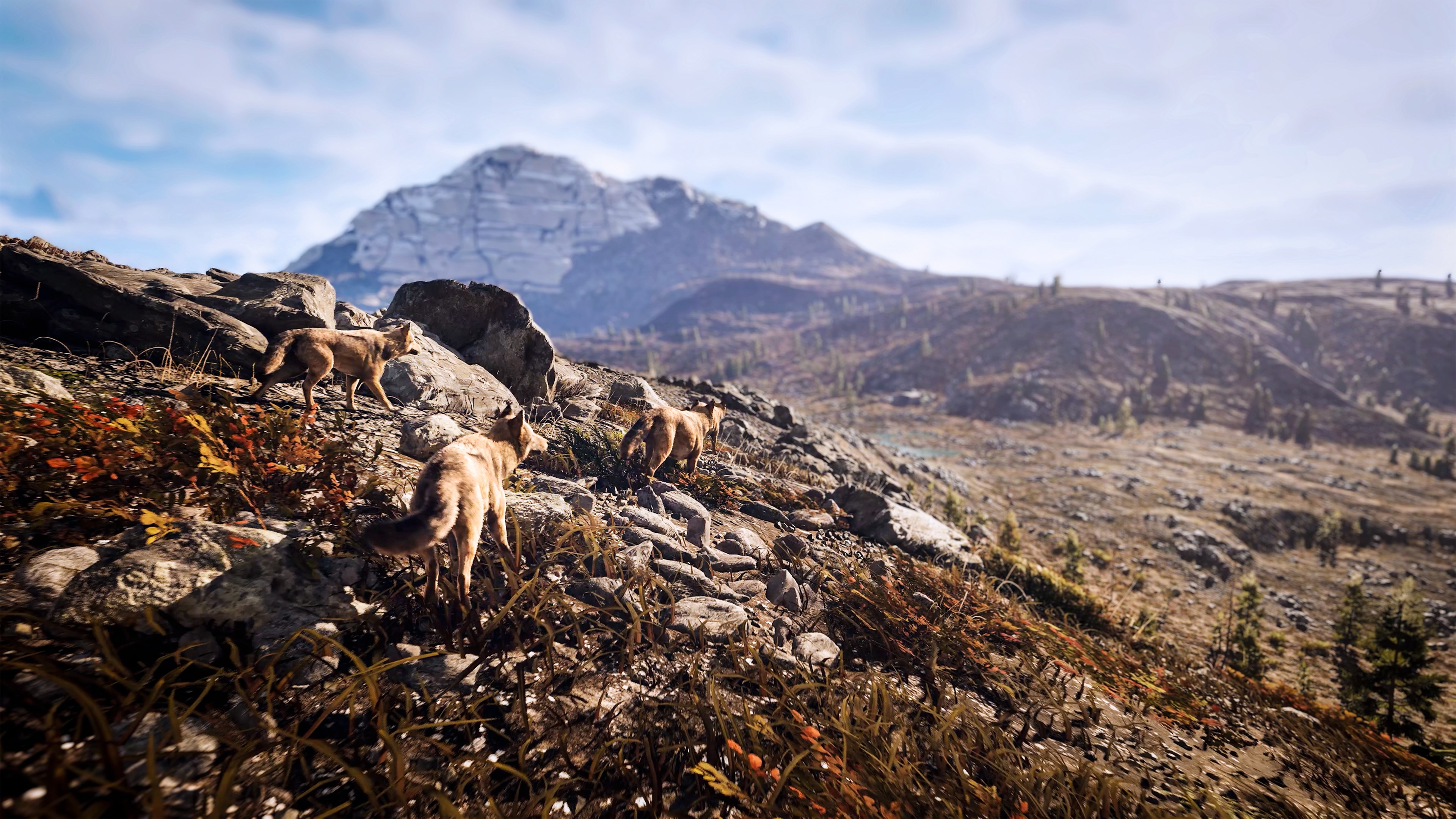 Hunting Simulator 3 - Imagen 5