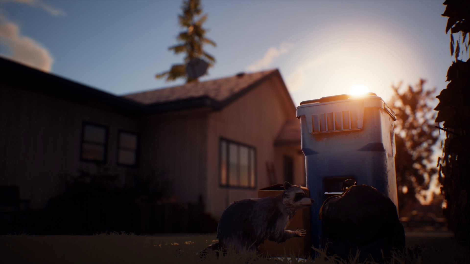 Life is Strange 2 - Episodio 1