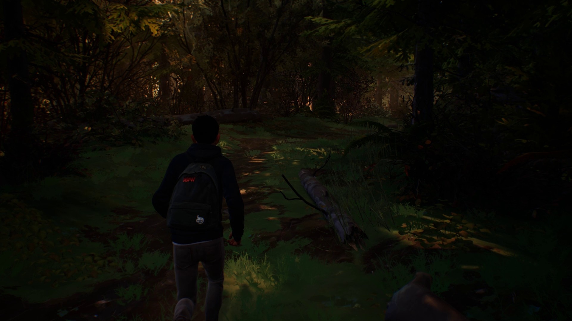 Life is Strange 2 - Episodio 1 - Imagen 29