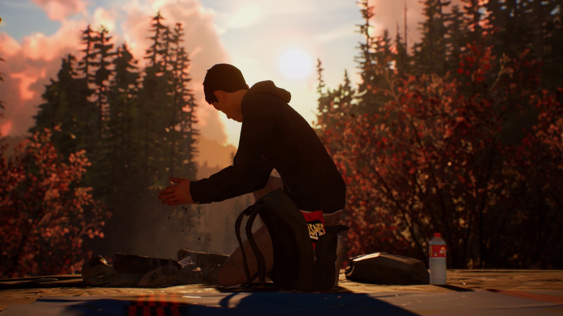 Life is Strange 2 - Episodio 1 - Imagen 37