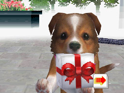 Nintendogs: Teckel y Compañía - Imagen 21