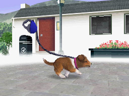 Nintendogs: Teckel y Compañía - Imagen 17
