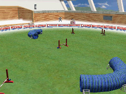 Nintendogs: Teckel y Compañía - Imagen 18