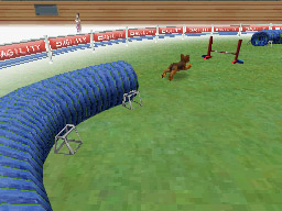 Nintendogs: Teckel y Compañía - Imagen 15