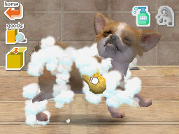 Nintendogs: Teckel y Compañía - Imagen 50