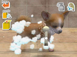 Nintendogs: Teckel y Compañía - Imagen 47