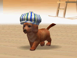 Nintendogs: Teckel y Compañía - Imagen 48