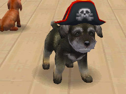 Nintendogs: Teckel y Compañía - Imagen 46