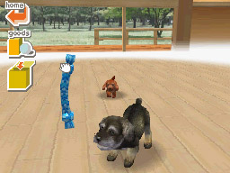 Nintendogs: Teckel y Compañía - Imagen 38