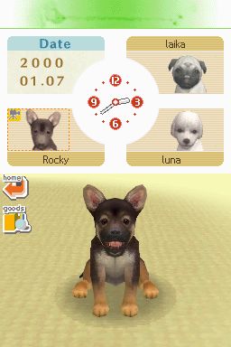Nintendogs: Teckel y Compañía - Imagen 41