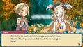 Rune-Factory-3-Special-3.jpg