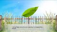 Fichero: Secrets-In-Green-3.jpg
Tama駉: 100KB
Dimensiones: 1400x787
Fecha de alta: 11 de Oct de 2025 Secrets-In-Green-3.jpg