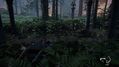 The-Last-of-Us-Parte-II-Remastered-18.jpg