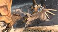 Total-War-Warhammer-III-Tides-of-Torment-6.jpg